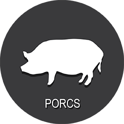 porcs